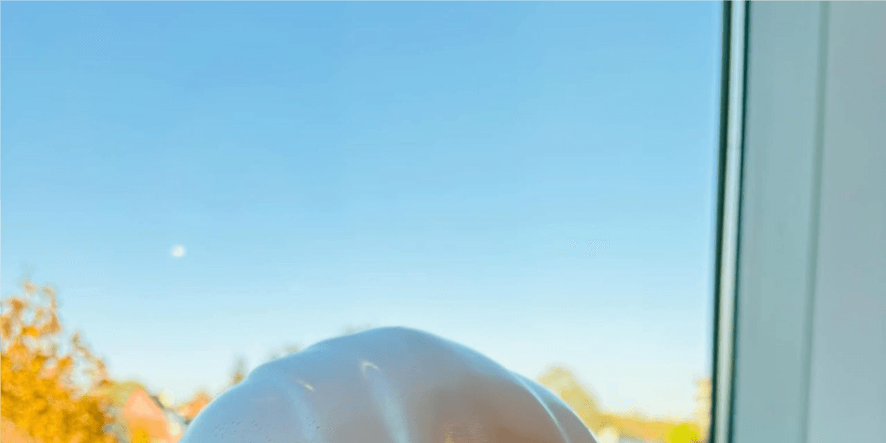 Gestionnaire de projet - Techniques Spéciales