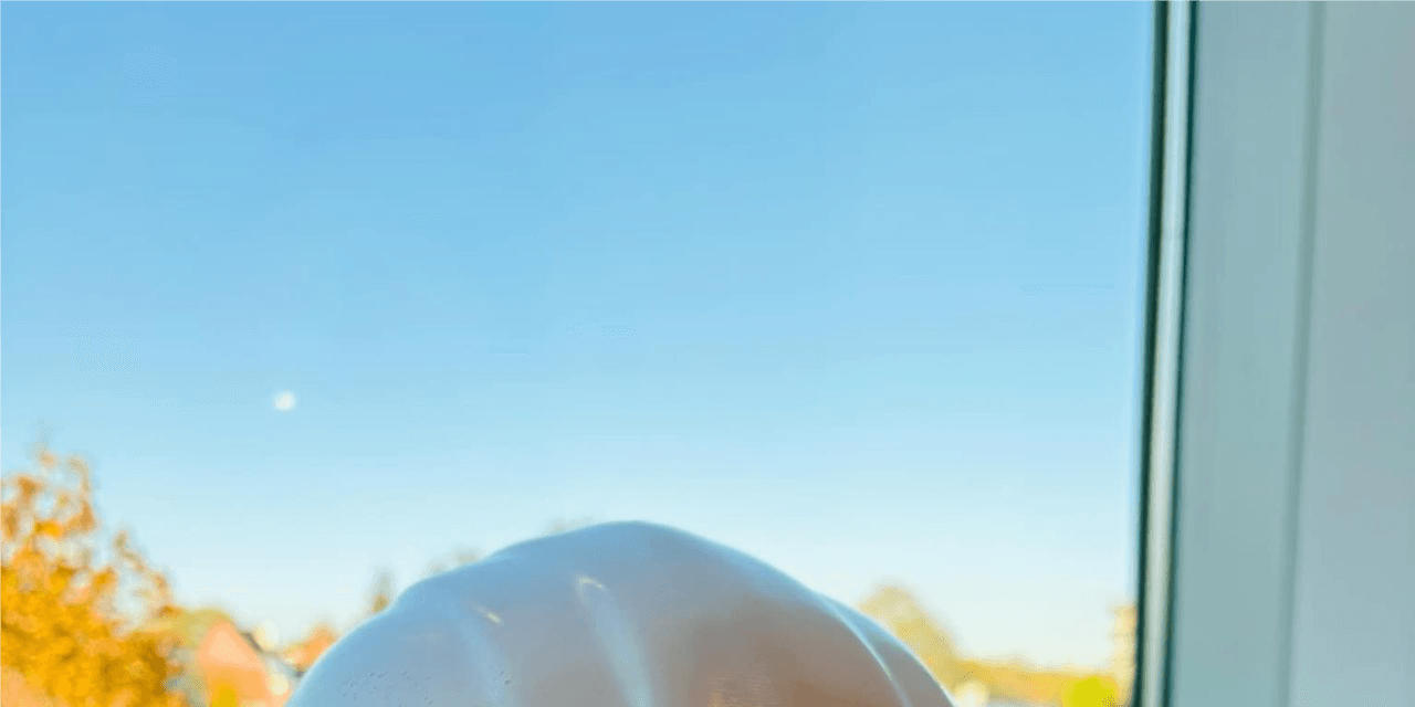 Ingénieur Projet Senior HVAC (Charleroi/Hainaut)