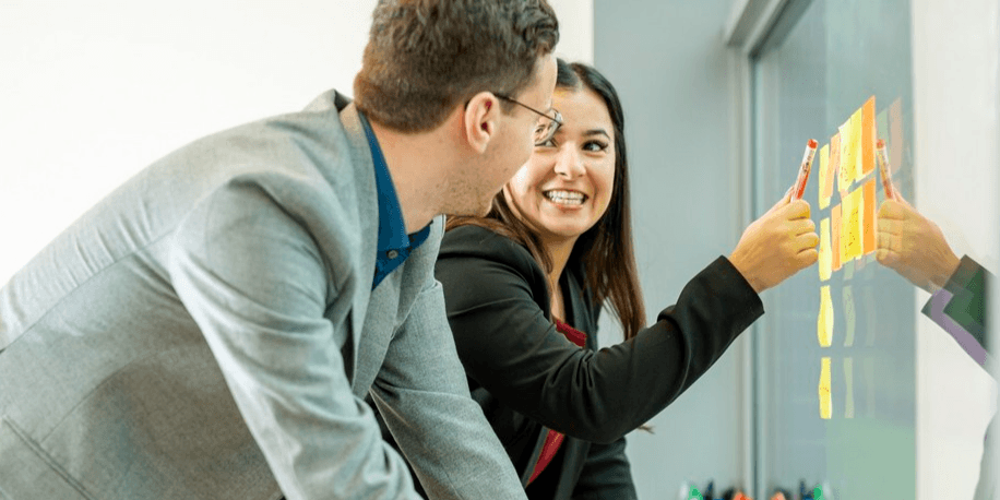 Senior Scriptura Ontwikkelaar